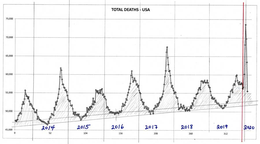 total deaths usa